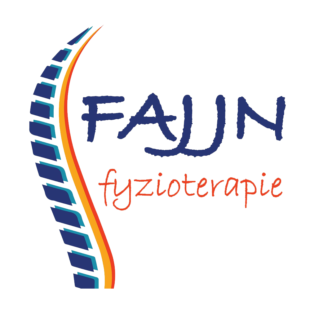 fajjn-fyzio.cz